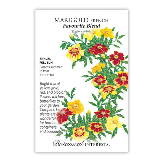 Botanical Interests Marigold French Favorite Blend