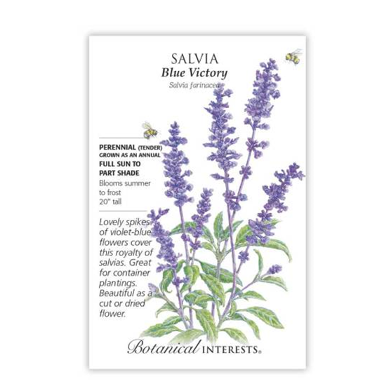 Botanical Interests Salvia Blue Victoria