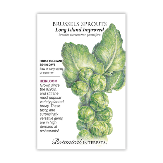 Botanical Interests Long Island Brussels Sprouts