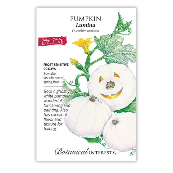 Botanical Interests Pumpkin Lumina