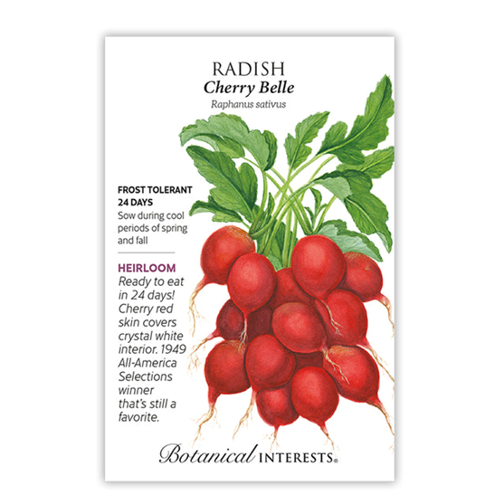 Botanical Interests Radish Cherry Bell Seed