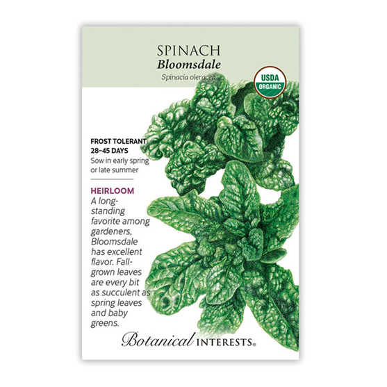 Botanical Interests Bloomsdale Spinach Seed