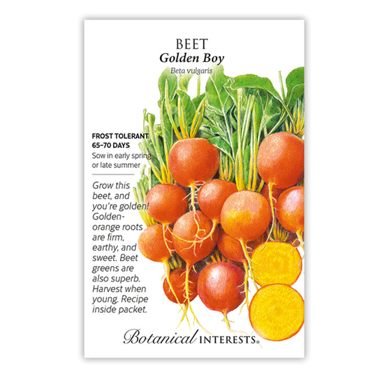 Botanical Interests Beet Golden Boy Seed