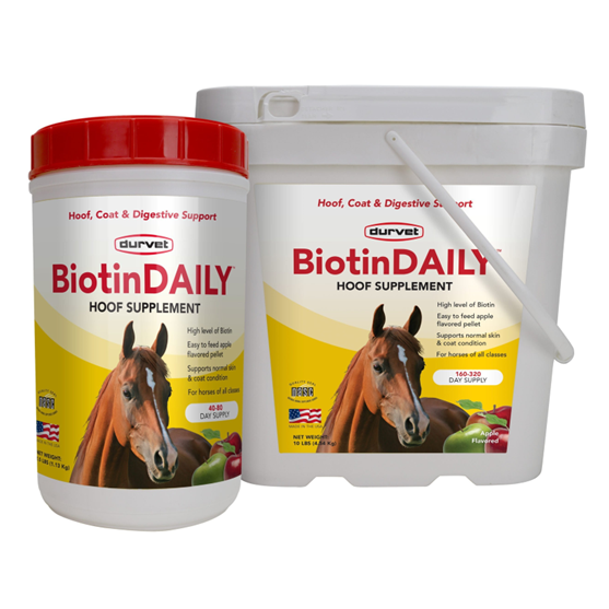 Biotin Daily 2.5 lb
