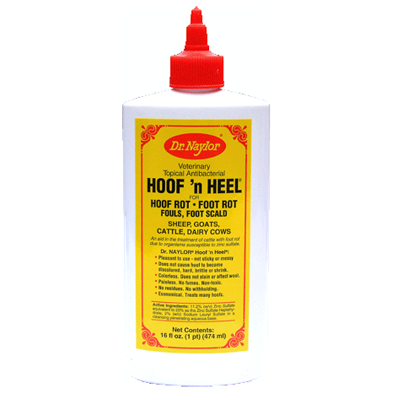 Dr Naylor Hoof N Heel 16 oz