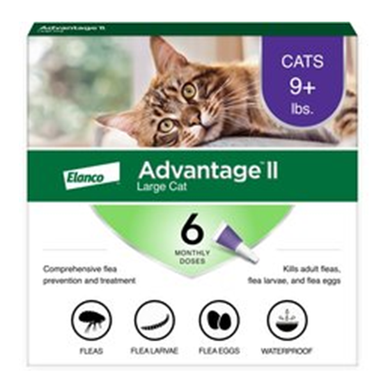 Advantage II Cat 9-18 lb Purple