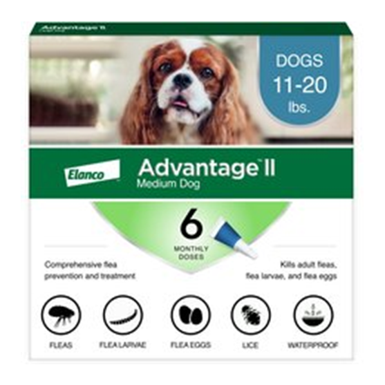 Advantage II Dog 11-20 lbs Teal