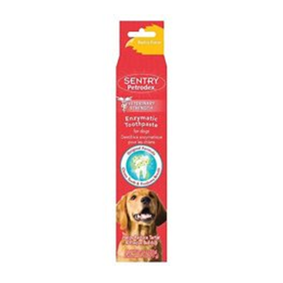 Sargent's Petrodex Toothpaste Poultry Flavor Dog 2.5 oz