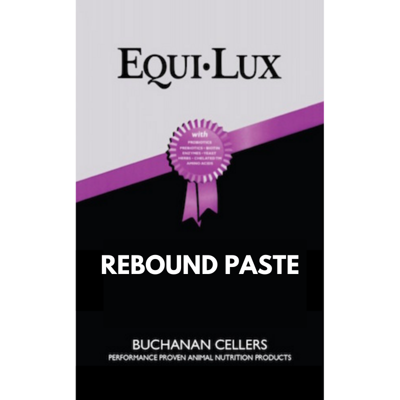 Beaver Brand Nutri-Lux Rebound Paste 300 GM