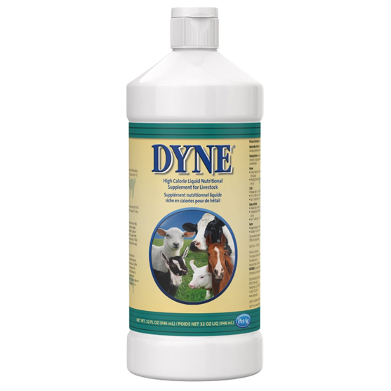 Dyne High Calorie Liquid Supplement for Livestock 32oz