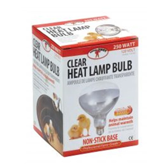 Clear Heat Bulb 250 Watts