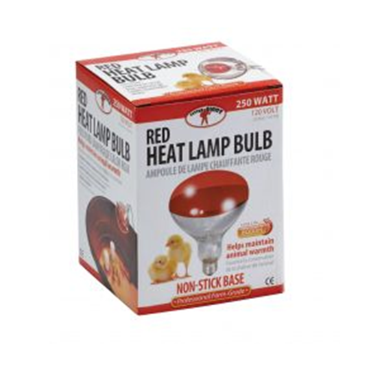 Red Heat Bulb 250 Watts