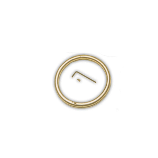 AgriPro Bull Ring 2.5"X 5/16" Brass