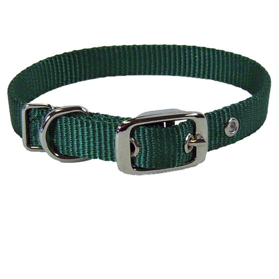 Hamilton Collar 5/8" Green 16"