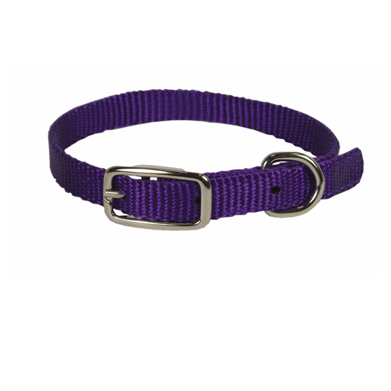 Hamilton 5/8" Collar 16" Purple