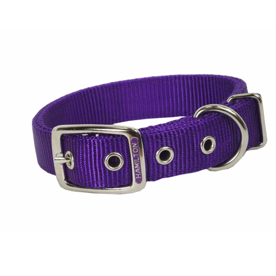 Hamilton Collar Double 1"X22" Purple