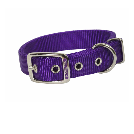 Hamilton Double Collar 1"X24" Purple