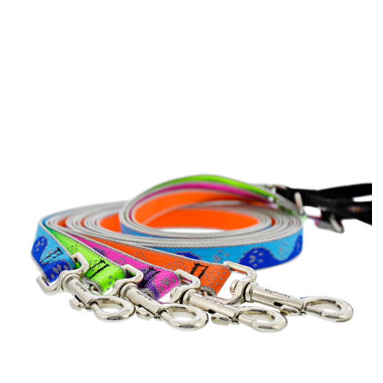 Lupine High Lights 1" 6ft Leash Assorted