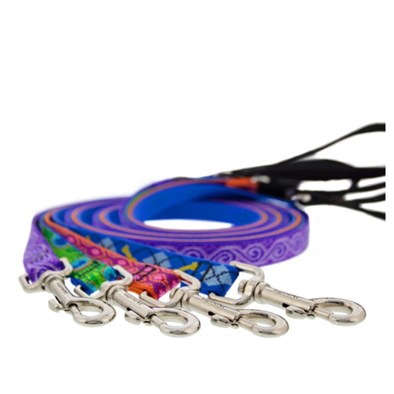 Lupine 3/4" 4ft Assorted Leash