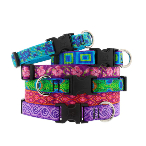 Lupine 1" 25"-31" Dog Collar Assorted