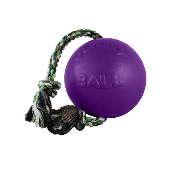 Jolly Pets Romp-N-Roll Pet Toy 4.5" Purple