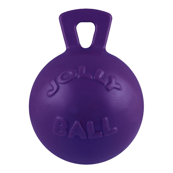 Jolly Pets Ball with Handle Purple