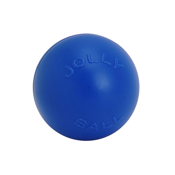 Jolly Ball Push and Play Dog Toy 10" Blue