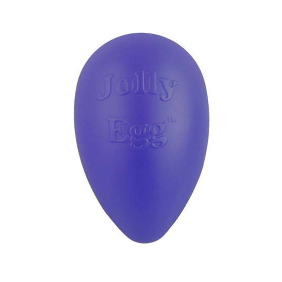 Jolly Egg Dog Toy 12" Purple Large