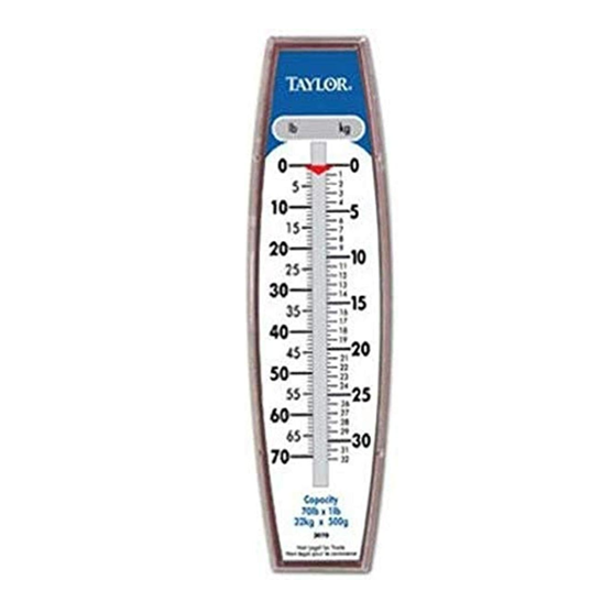 Taylor Instruments Hanging Scale 70 lb