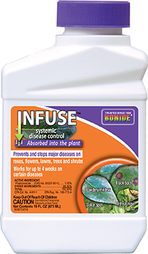 infuse concentrate