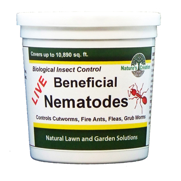 Departments Live Beneficial Nematodes Small Live Beneficial Nematodes Are Microscopic Non Segmented Worms That In The Soil They Control Over 200 Born Pests Including Cutworms Fire Ants