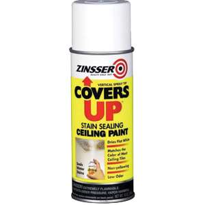 COVERS UP STAIN & TOUCH UP SPRAY