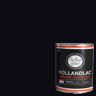 BLACK 0029 HOLLANDLAC BRIL .75L