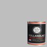 SILVERBLADE 7048 BRILLIANT .75L