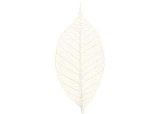 3in Ruber Leaf White