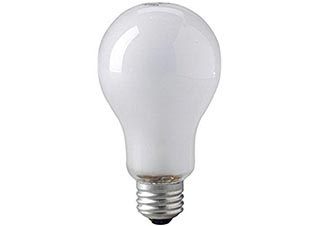 Speedball Photo Flood Bulb