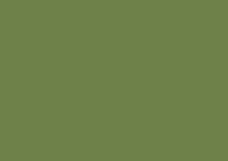 Canson Colorline Art Paper 150 gsm 8.5x11 Moss Green