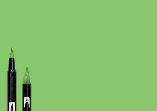 Tombow Dual Brush Pen Willow Green 173