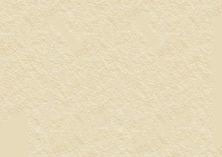 Arches Velin d'Arches Cover Paper 250 gsm 22x30 Cream