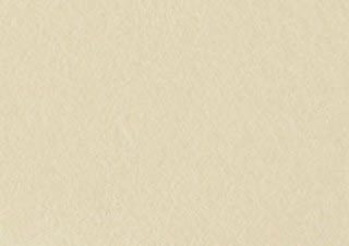 Canson Rives BFK Printmaking Paper 280 gsm 22x30 Cream