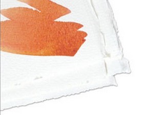 Arches Watercolor Paper 140 lb. Natural White Cold Press 16x20in Sheet