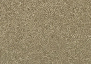 Canson Mi-Teintes Tinted Paper 19x25 #336 Sand