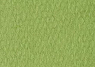 Canson Mi-Teintes Art Paper 19x25 #480 Light Green