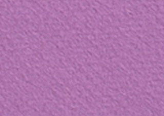 Canson Mi-Teintes Tinted Paper 19x25 #507 Violet
