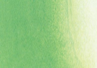 Schmincke Horadam Watercolor 15ml Permanent Green