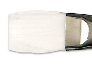 Prowhite Series 200F Flat Brush Size 6