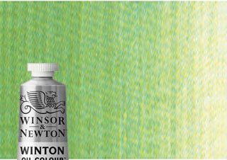 Winton Oil Color 37ml Terre Verte