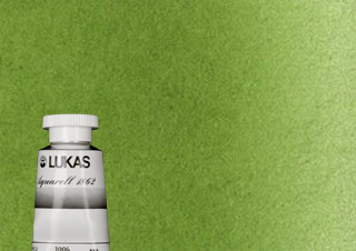 Lukas 1862 Watercolor Olive Green 24ml Tube