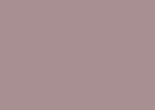 Caran d'Ache Luminance 6901 Lightfast Pencil Sepia 10%