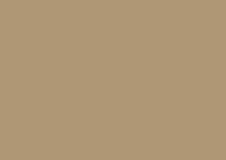 Caran d'Ache Luminance 6901 Lightfast Pencil Olive Brown 50%